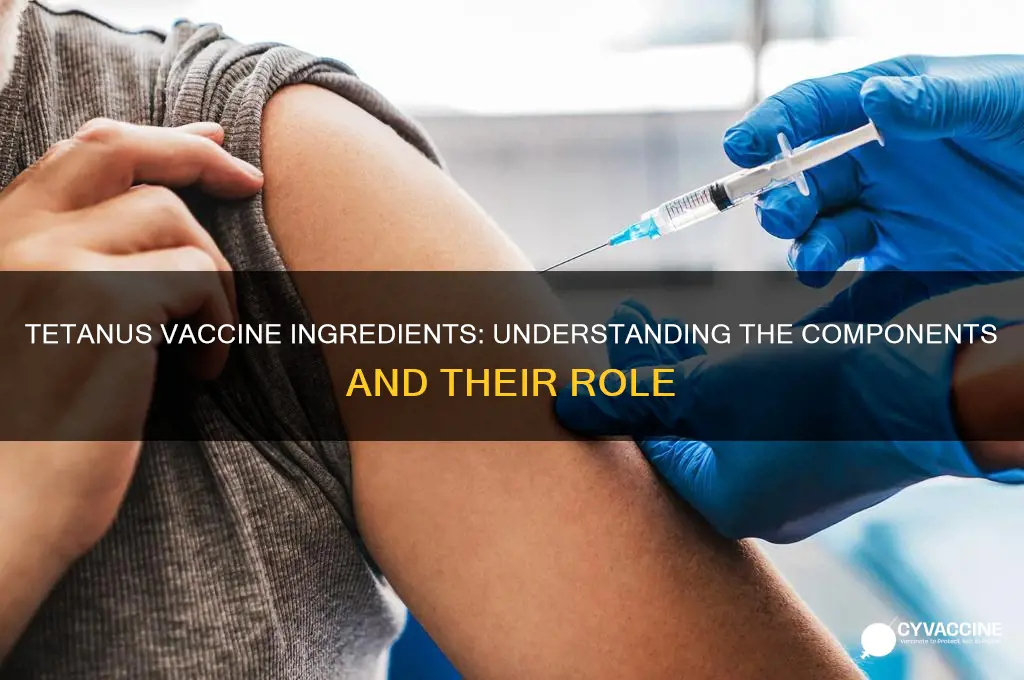 what are the ingredients in a tetanus vaccine