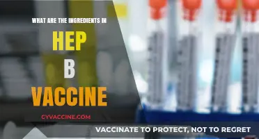 Hepatitis B Vaccine Ingredients: Understanding the Components and Their Role