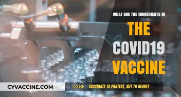 Understanding COVID-19 Vaccine Ingredients: A Comprehensive Breakdown