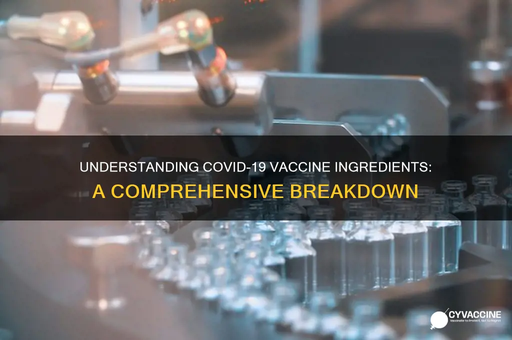 what are the ingredients in the covid19 vaccine