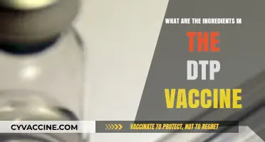 Understanding DTP Vaccine: Key Ingredients and Their Role in Immunity