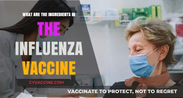 Understanding the Key Ingredients in the Influenza Vaccine