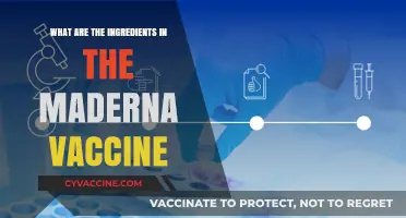 Understanding Moderna's COVID-19 Vaccine: Key Ingredients Explained
