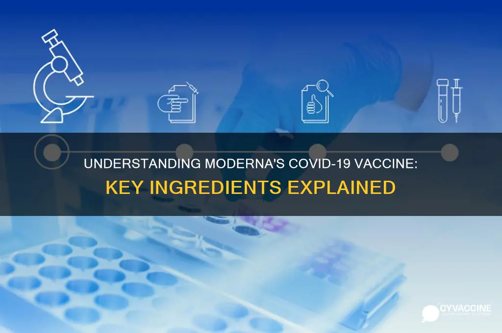 what are the ingredients in the maderna vaccine
