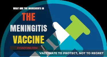 Understanding Meningitis Vaccine: Key Ingredients and Their Role in Prevention