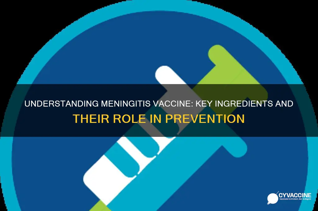 what are the ingredients in the meningitis vaccine