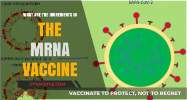 Understanding mRNA Vaccines: Key Ingredients and Their Roles Explained