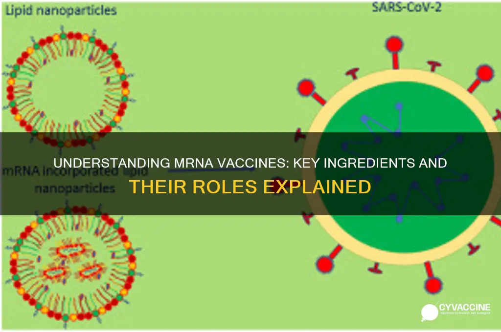 what are the ingredients in the mrna vaccine