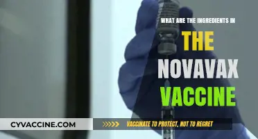Understanding Novavax: Key Ingredients in the COVID-19 Vaccine Explained