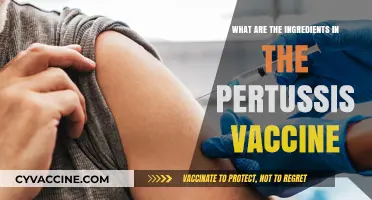 Understanding Pertussis Vaccine: Key Ingredients and Their Role in Immunity