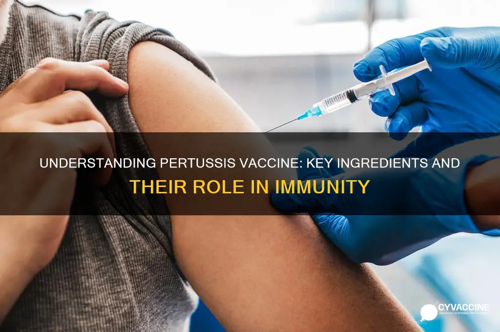 what are the ingredients in the pertussis vaccine