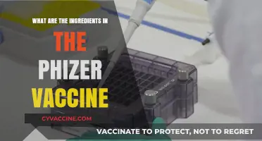 Pfizer Vaccine Ingredients: A Detailed Breakdown of Its Components