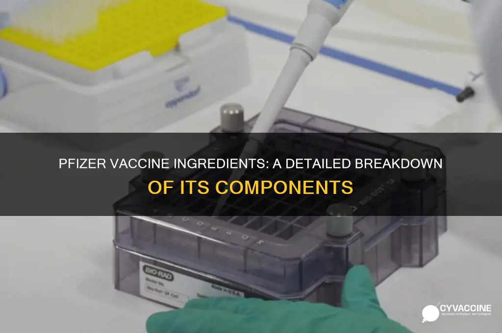 what are the ingredients in the phizer vaccine
