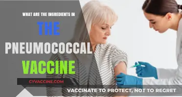 Understanding the Key Ingredients in the Pneumococcal Vaccine