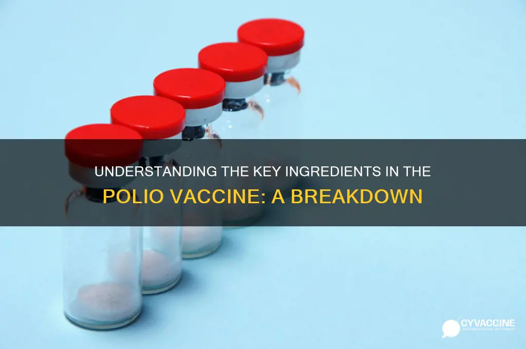 what are the ingredients in the polio vaccine