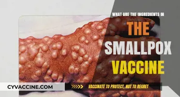 Smallpox Vaccine Ingredients: Understanding the Components and Their Role