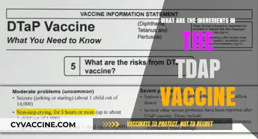 Tdap Vaccine Ingredients: What's Inside?