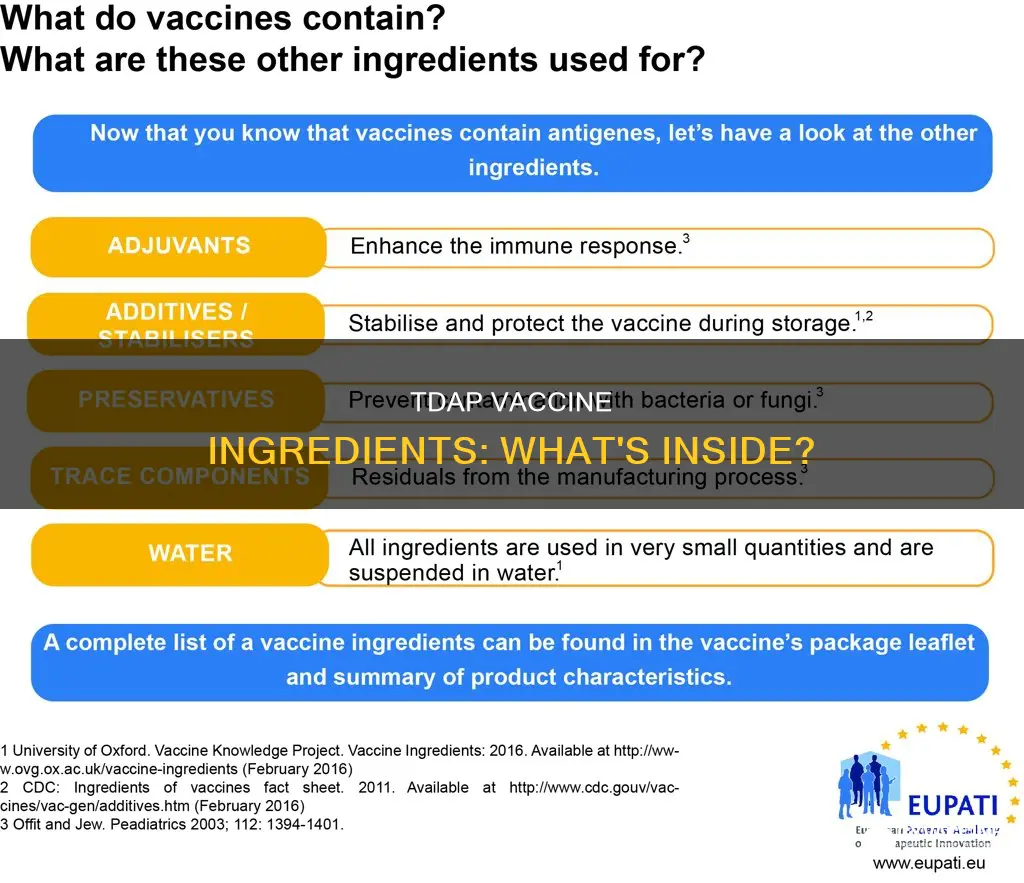 what are the ingredients in the tdap vaccine