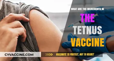 Understanding Tetanus Vaccine: Key Ingredients and Their Role in Protection