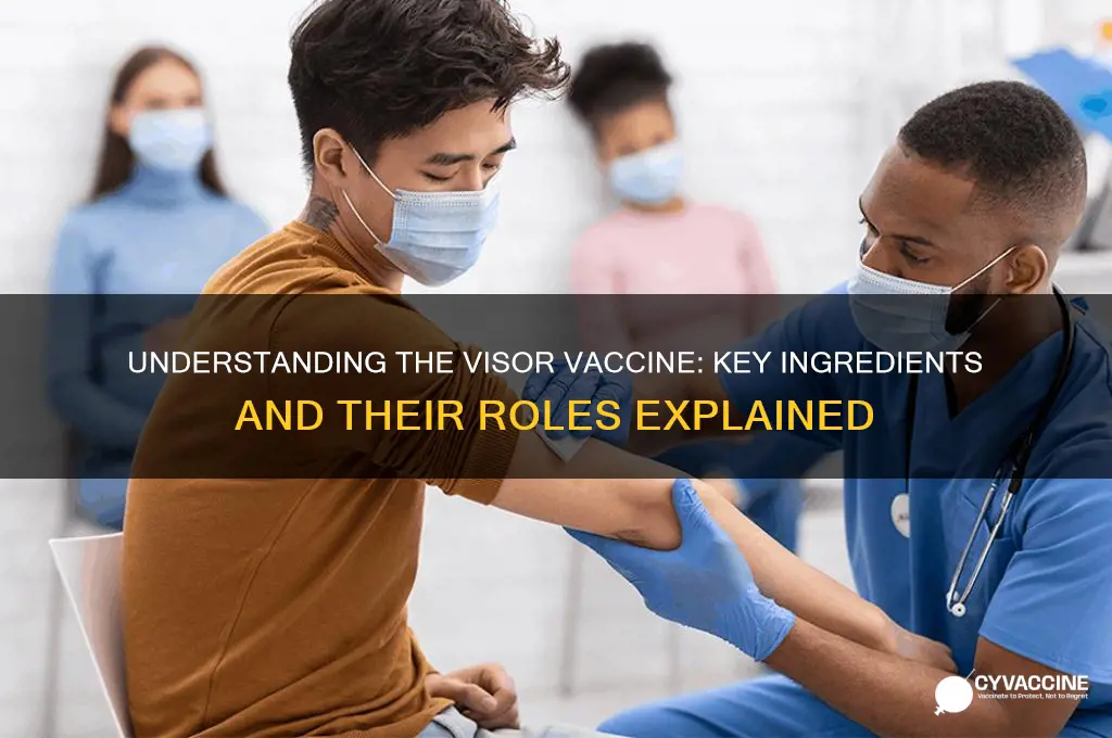 what are the ingredients in the visor vaccine