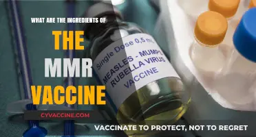 MMR Vaccine Ingredients: What's Inside the Shot?