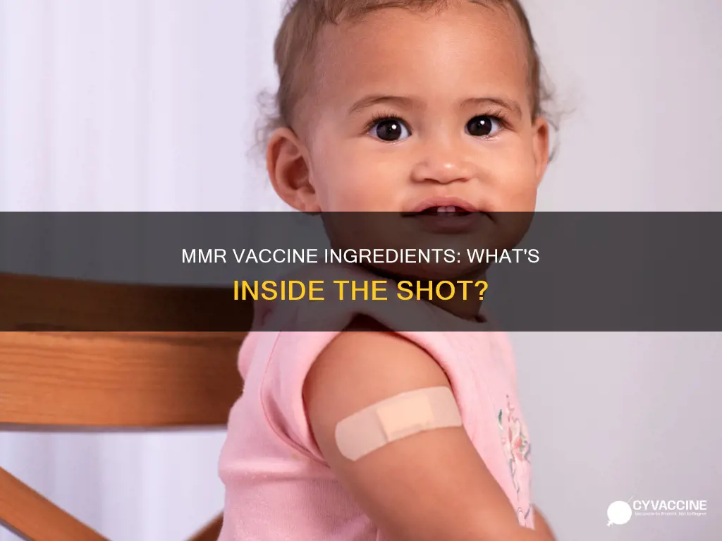what are the ingredients of the mmr vaccine