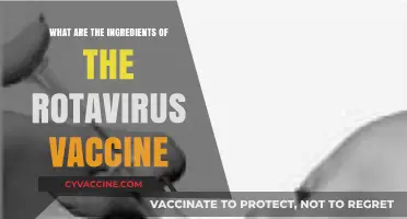 Understanding Rotavirus Vaccine: Key Ingredients and Their Role in Protection