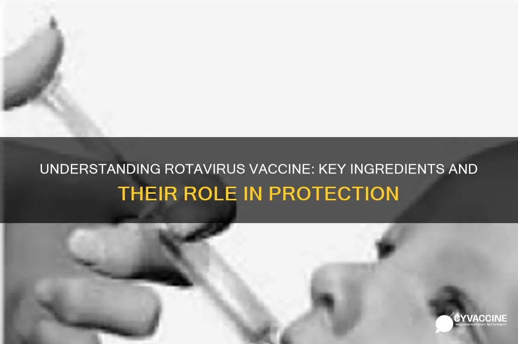 what are the ingredients of the rotavirus vaccine