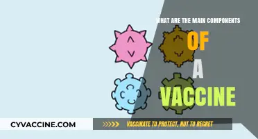 Understanding Vaccines: Key Components and Their Essential Roles Explained