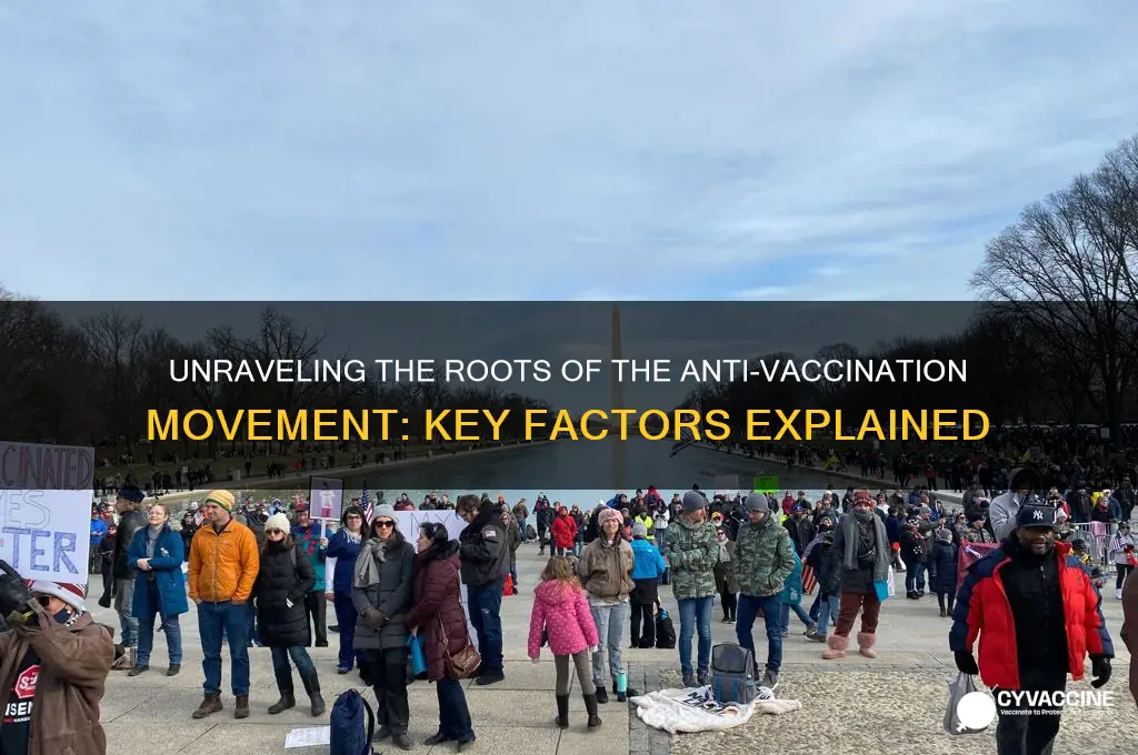 what are the main reasons the anti vaccination movement exists