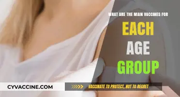 Essential Vaccines for Every Age: A Comprehensive Guide to Immunization