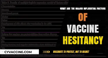 Understanding Vaccine Hesitancy: Key Factors Shaping Public Trust and Acceptance