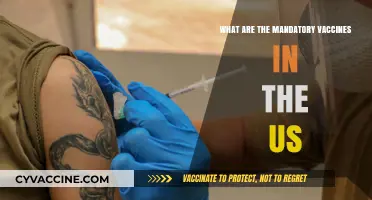 Essential US Vaccines: Mandatory Immunizations for Public Health Protection