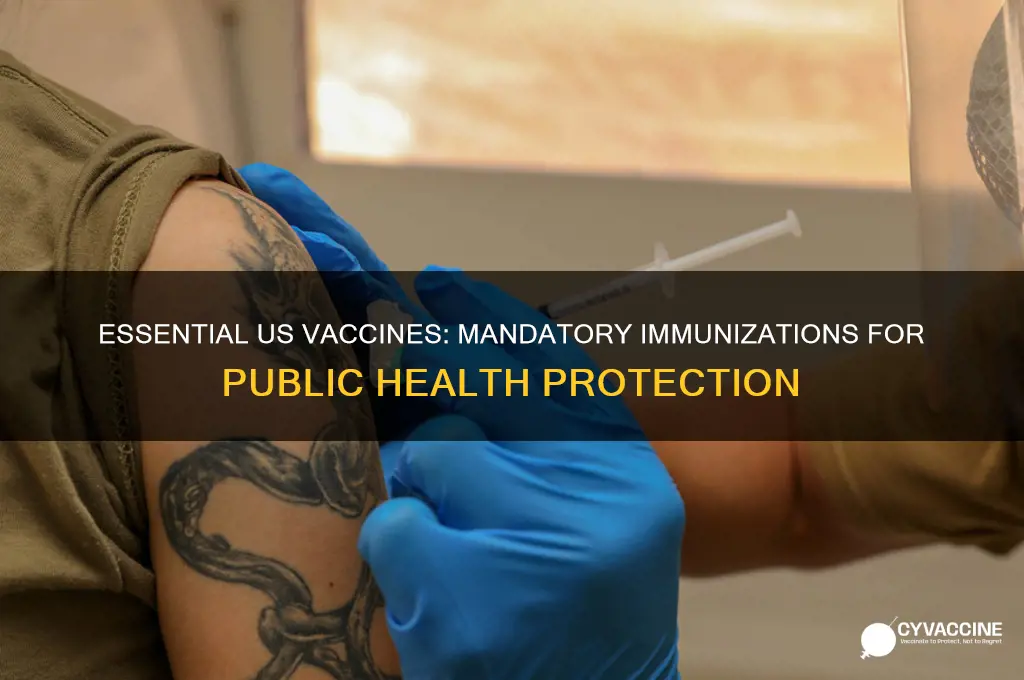 what are the mandatory vaccines in the us