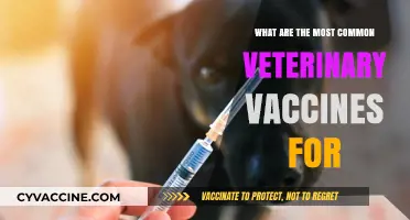Essential Veterinary Vaccines: Protecting Pets Against Common Diseases