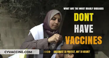 Deadly Diseases Without Vaccines: A Global Health Challenge
