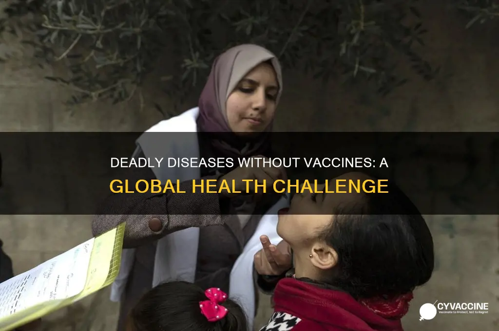 what are the most deadly diseases dont have vaccines