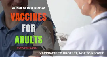 Essential Adult Vaccines: Protecting Health and Preventing Serious Diseases