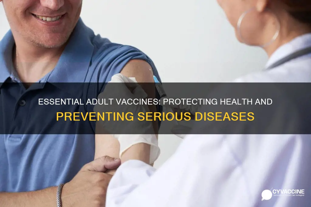 what are the most important vaccines for adults