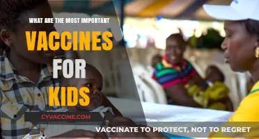 Essential Childhood Vaccines: Protecting Kids' Health and Future Well-Being
