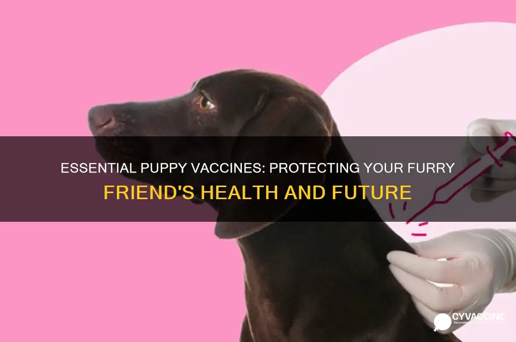 what are the most important vaccines for puppies