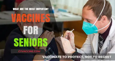 Essential Vaccines for Seniors: Protecting Golden Years