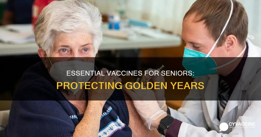 what are the most important vaccines for seniors