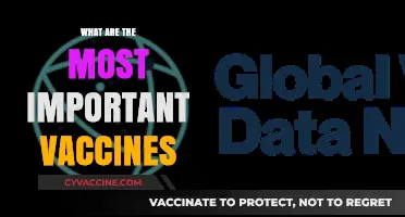 Essential Vaccines: Protecting Health and Preventing Deadly Diseases Globally