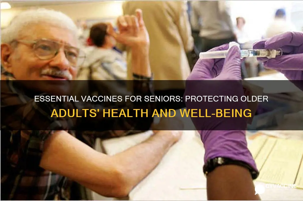 what are the most recommended vaccines for older adults