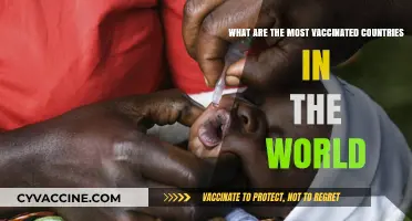 Global Vaccination Leaders: Top Countries with Highest Immunization Rates
