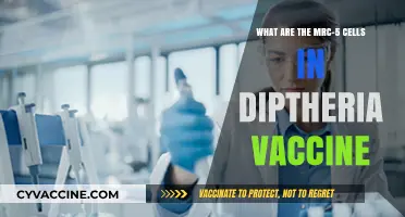 Understanding MRC-5 Cells in Diphtheria Vaccines: A Comprehensive Guide