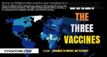 Three Key Vaccines: Names, Purposes, and Their Global Impact Explained