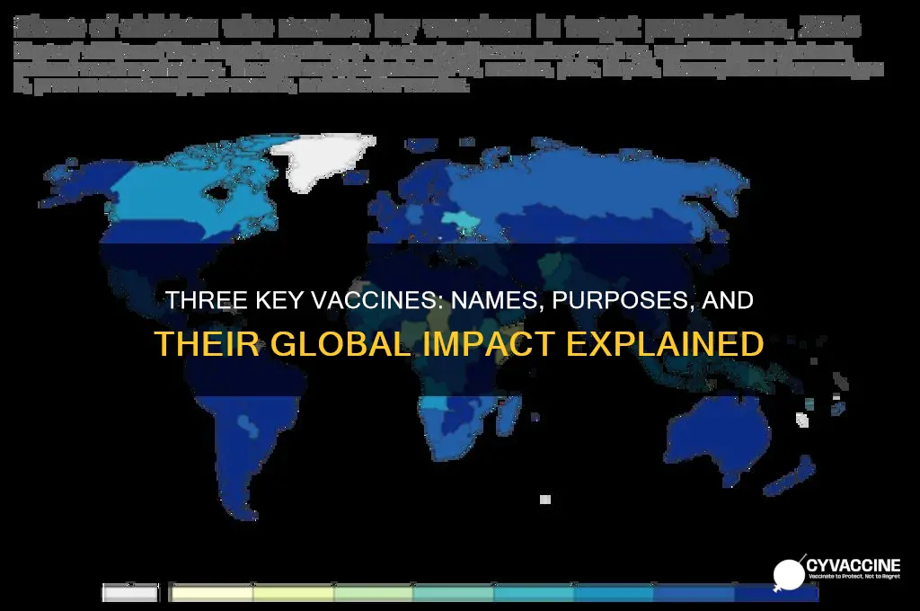 what are the name of the three vaccines