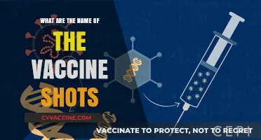 Essential Vaccine Shots: Names, Types, and What You Need to Know